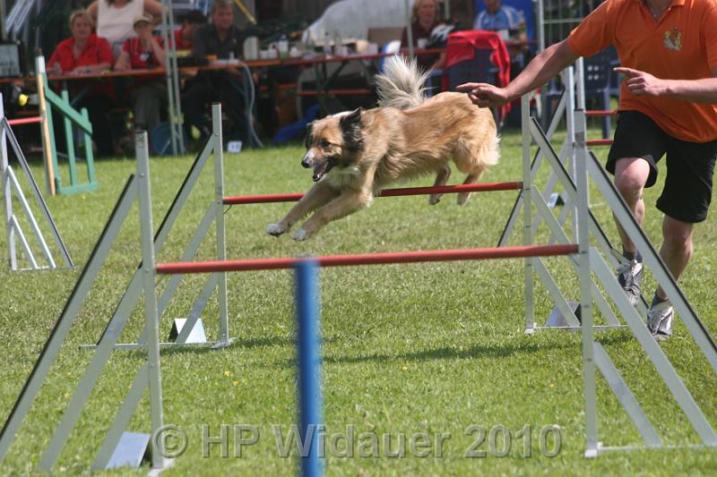 Haag2010 218.jpg